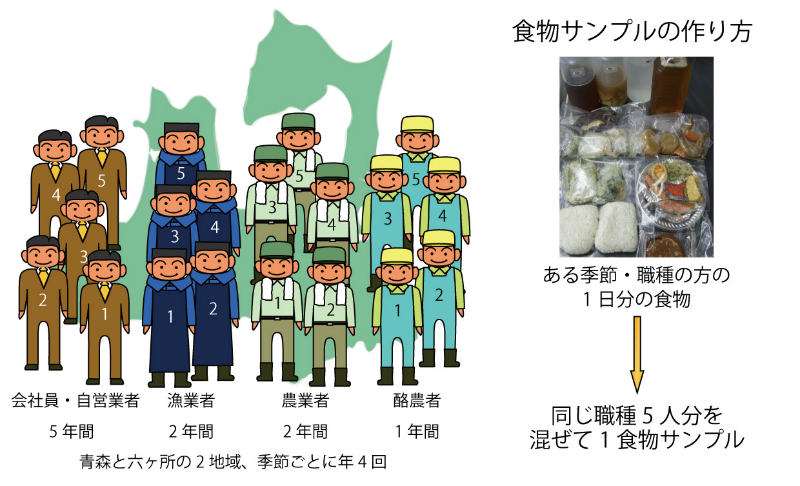 画像：青森県民の一般的な食物のサンプリング