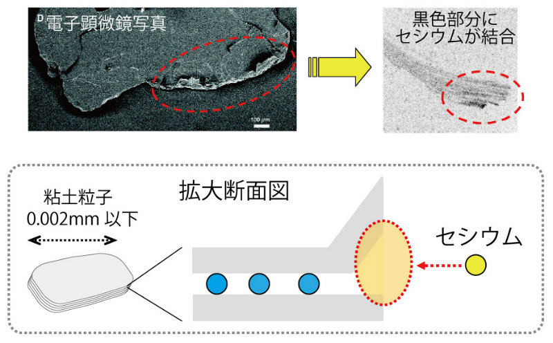 画像：粒子中のセシウムがどのような形で存在しているのか電子顕微鏡により観察した様子