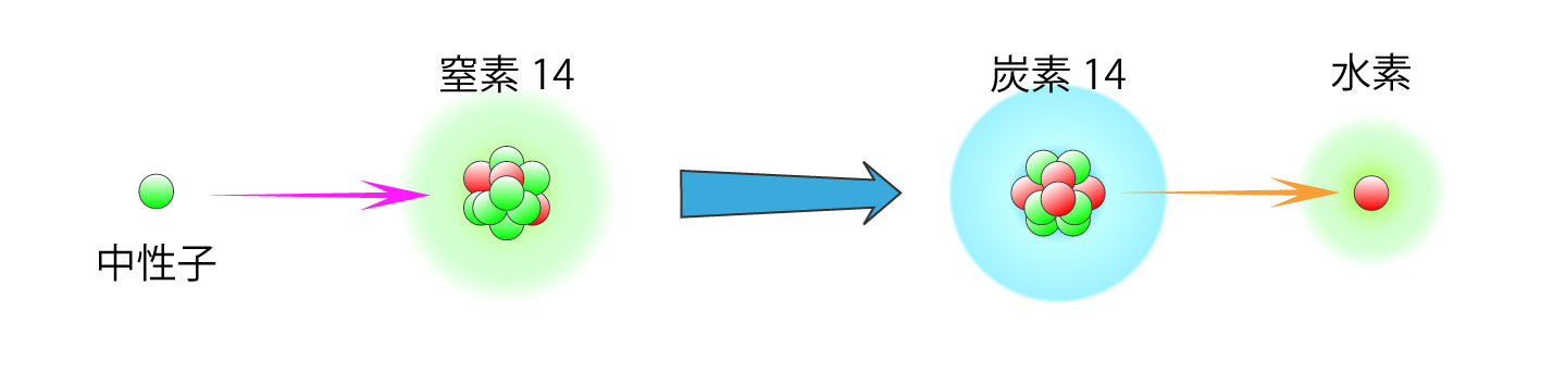 画像：炭素14は大気圏上層で宇宙からの放射線に由来する中性子と空気の主成分である窒素14との反応により常に生成されます。