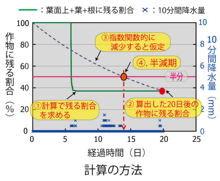 画像：葉面にのったセシウムの動きの計算方法