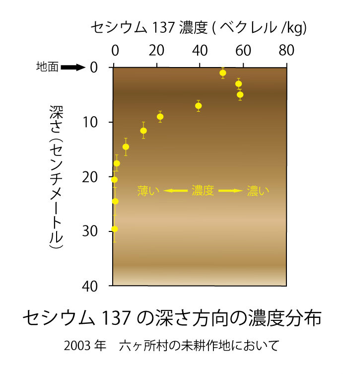 画像：セシウム137の深さ方向の濃度分布