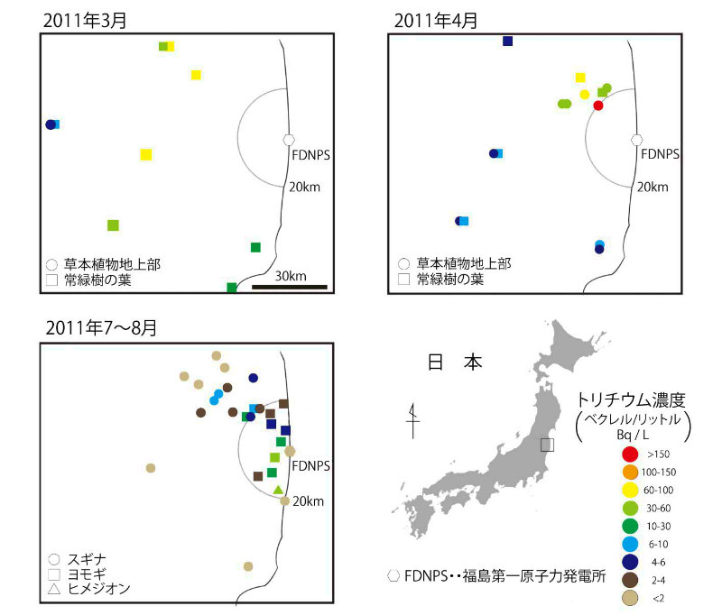 画像：植物中のトリチウム濃度の分布