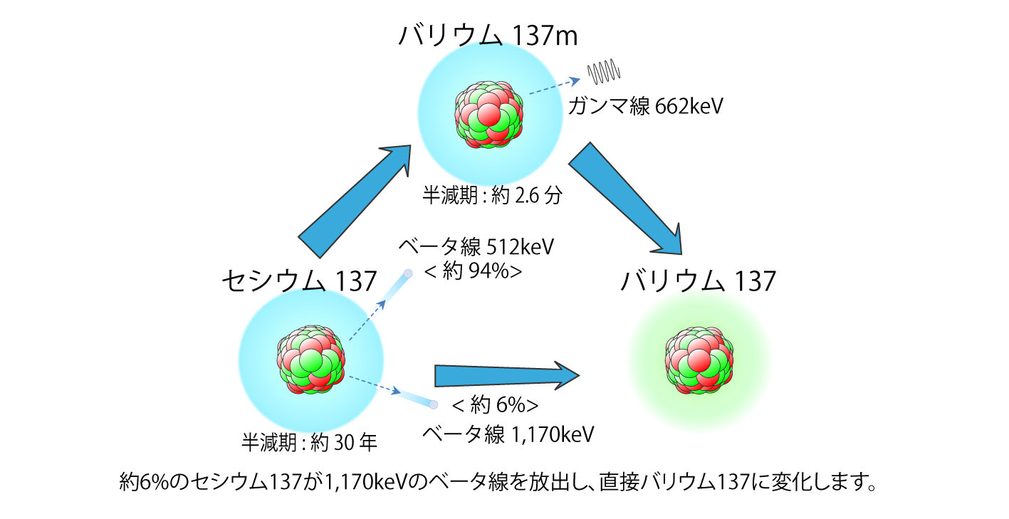 画像：セシウム137からバリウム137への変化