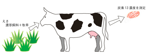 畜産物（牛肉）への炭素の移行イメージ