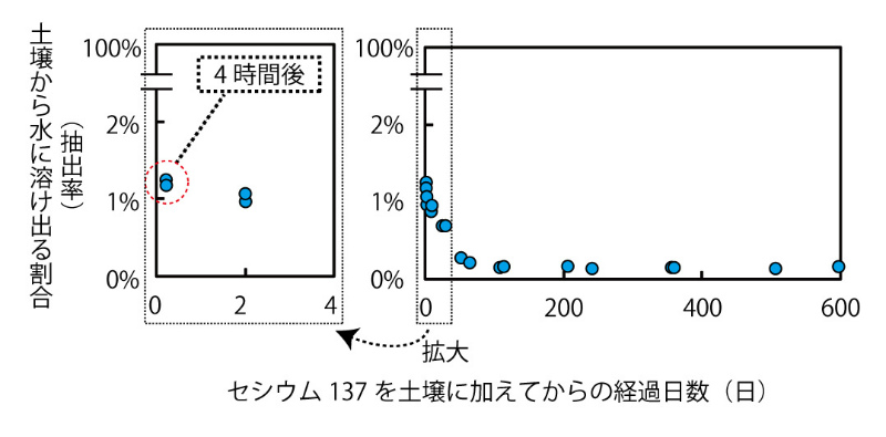 画像：セシウム137を土壌に加えてからの経過日数と土壌から水に溶け出る割合