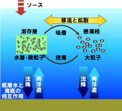 イラスト：海中での物質の動き