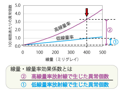 画像：線量・線量率効果係数