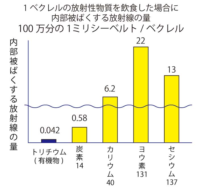 グラフ：1ベクレルの放射性物質を飲食した場合に内部被ばくする放射線の量