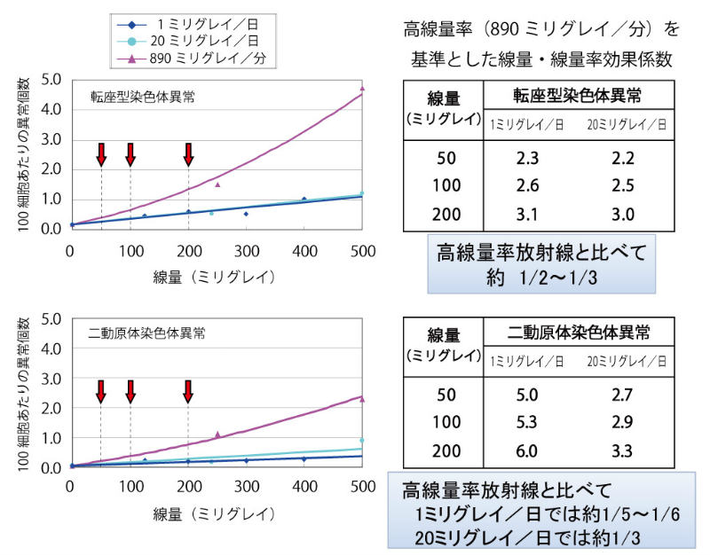 線量200ミリグレイ以下を対象に線量・線量率効果係数を求めた結果