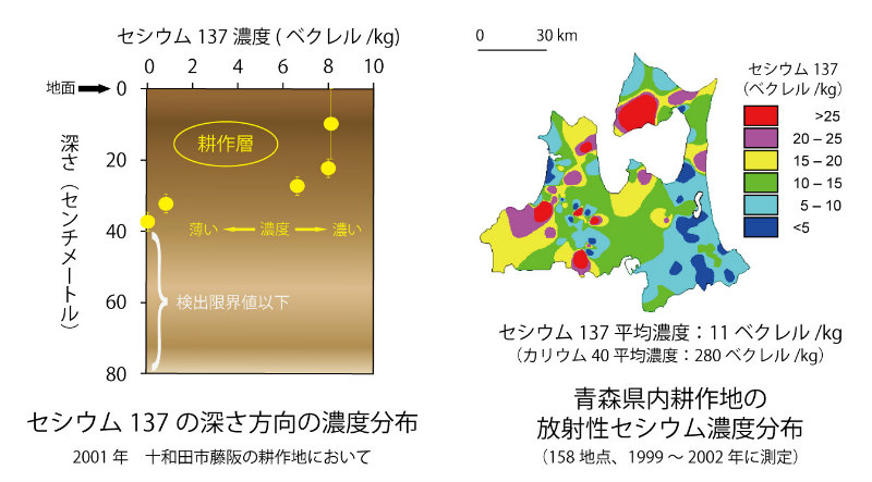 画像：セシウム137の深さ方向の濃度分布と青森県内耕作地の放射性セシウム濃度分布