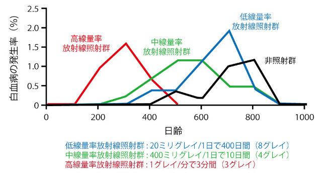 画像：白血病発生率のグラフ