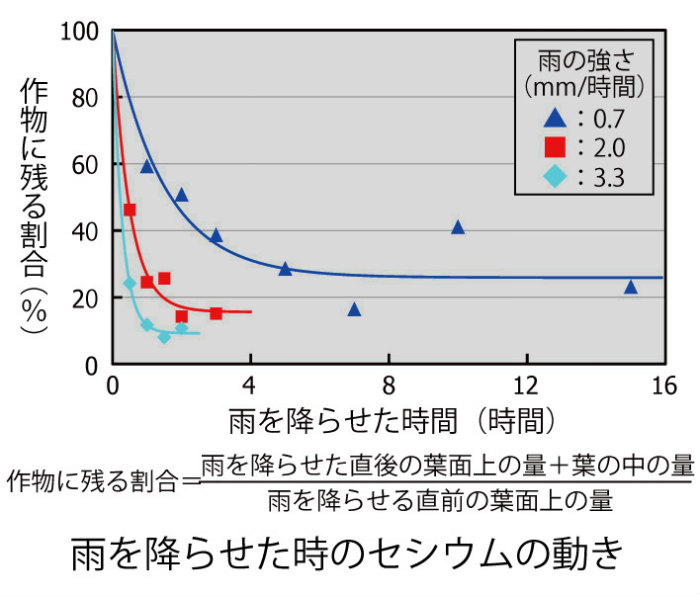 画像：雨を降らせた時のセシウムの動き