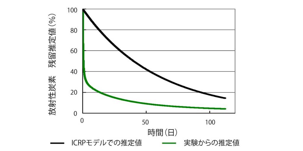 画像：放射性炭素残留推定値