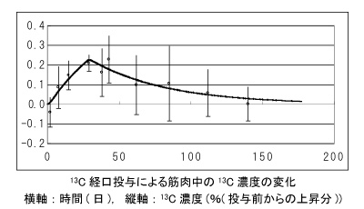 画像：13C経口投与による筋肉中の13C濃度の変化