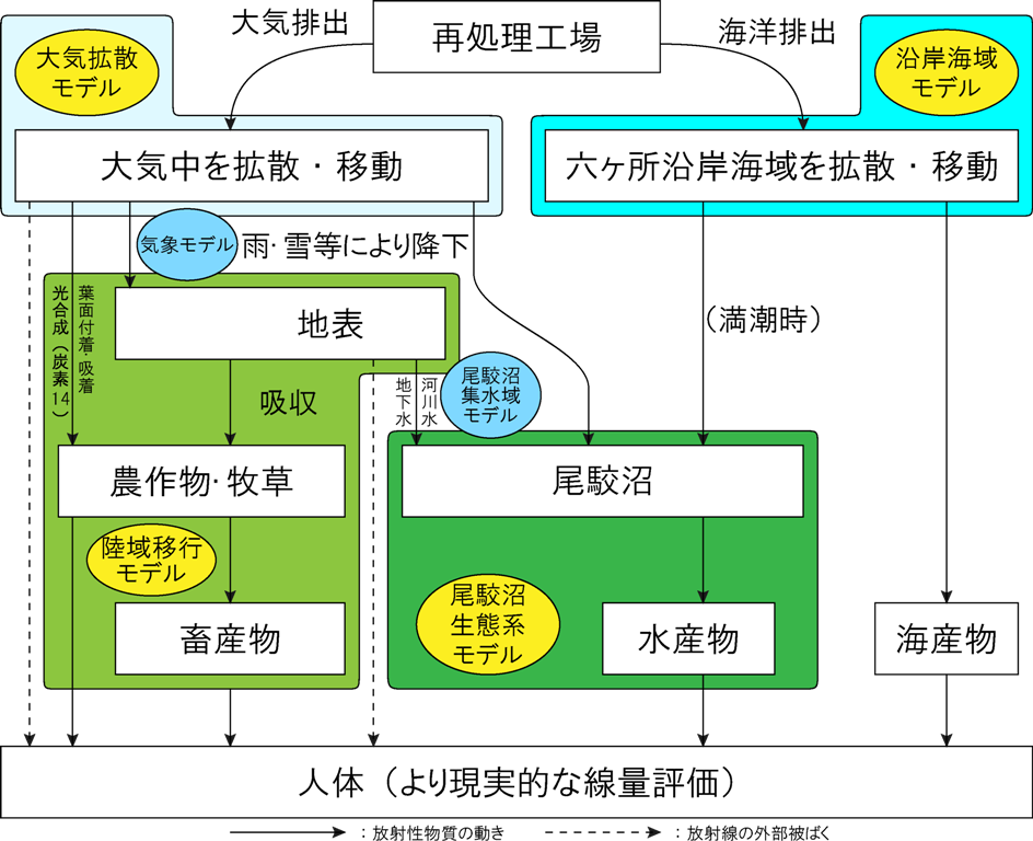 画像：総合的環境移行・線量評価モデルのイメージ