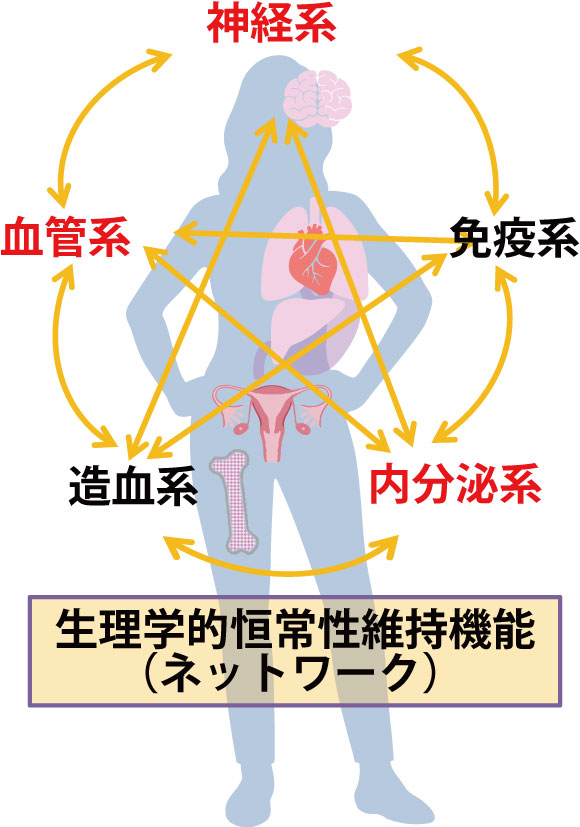 生理学的恒常性維持機能