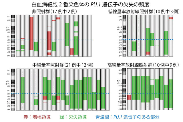 画像；白血病2番染色体を対象に解析を行った結果