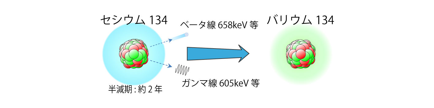 画像：セシウム134からバリウム134への変化