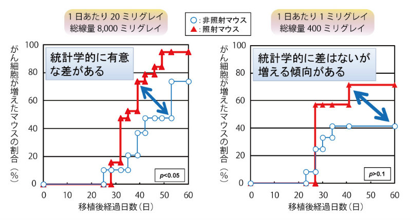 画像：移植後にがん細胞が増えたマウスの割合を図