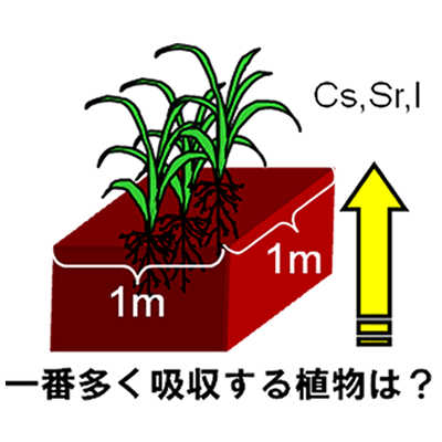 画像：環境に合った植物を選定する