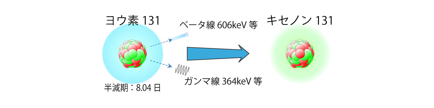 画像：要素131からキセノン131への変化