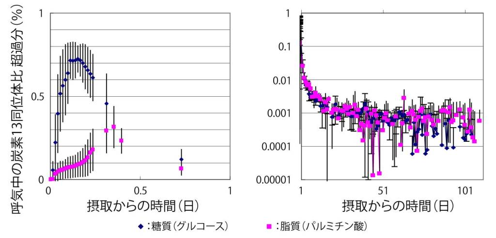 画像：呼気中の炭素13同位体比