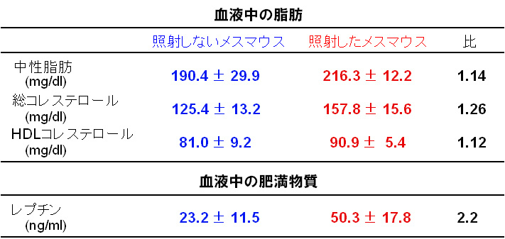 画像：血液中の脂肪と肥満物質