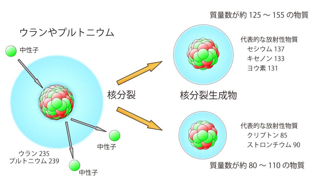 画像：核分裂生成物イメージ図
