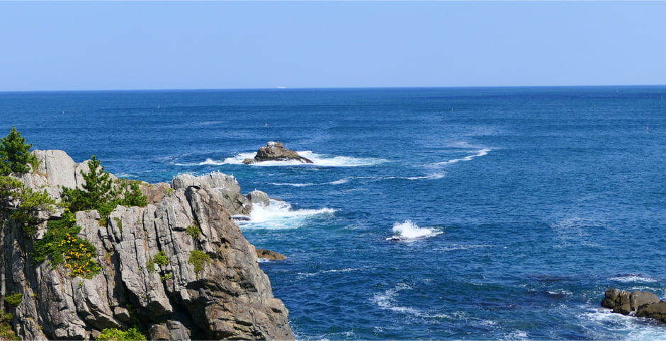 調査のイメージ写真：手前に崖 奥に潮の流れが見える海の風景