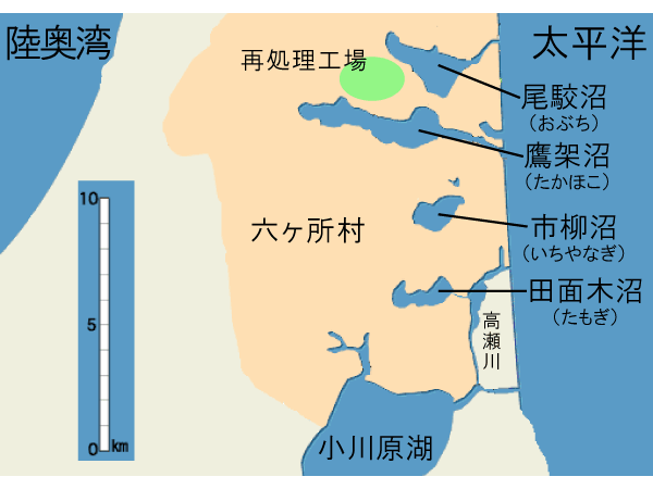 画像：小川原湖をはじめた多くの湖沼があり、広範囲にわたってヨシ群落が自生しています。